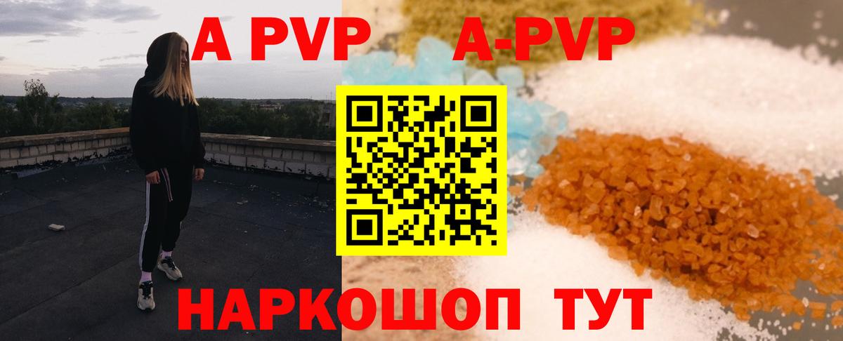 Alfa_PVP СК КРИС Балтийск