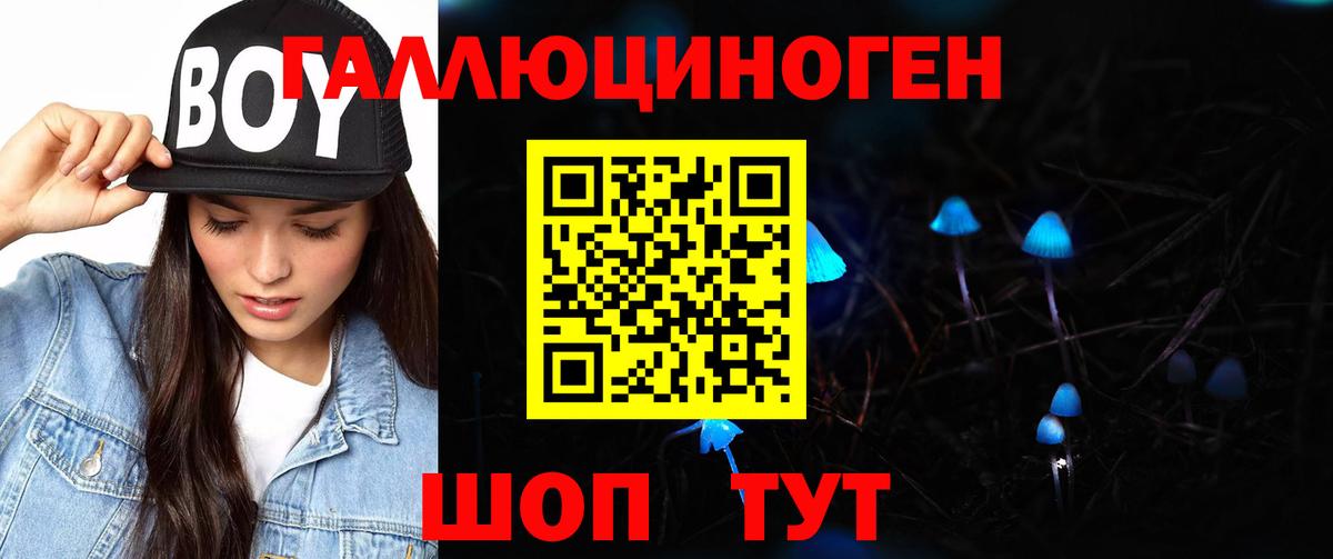 Балтийск  Галлюциногенные грибы GOLDEN TEACHER  Псилоцибиновые грибы Cubensis  Вход с VPN 